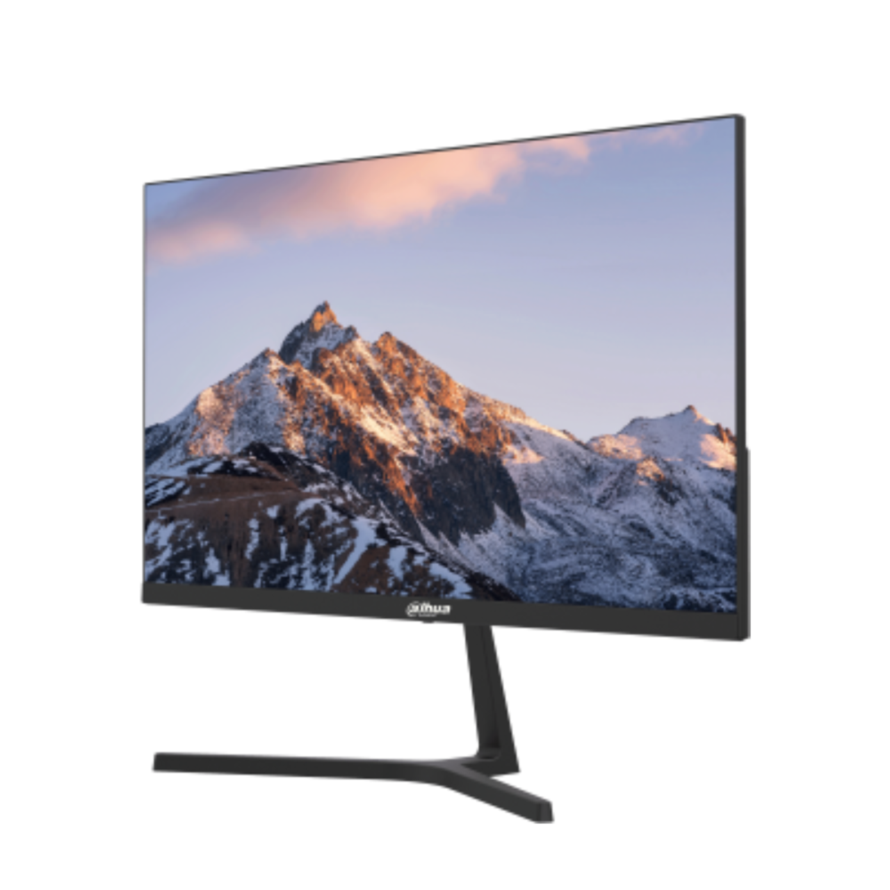 Screen dahua 24 inch